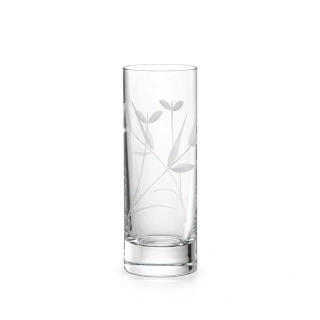 Bohemia Crystal Sklenice na lihoviny 50 ml dekor ELEGANCE, 6 ks